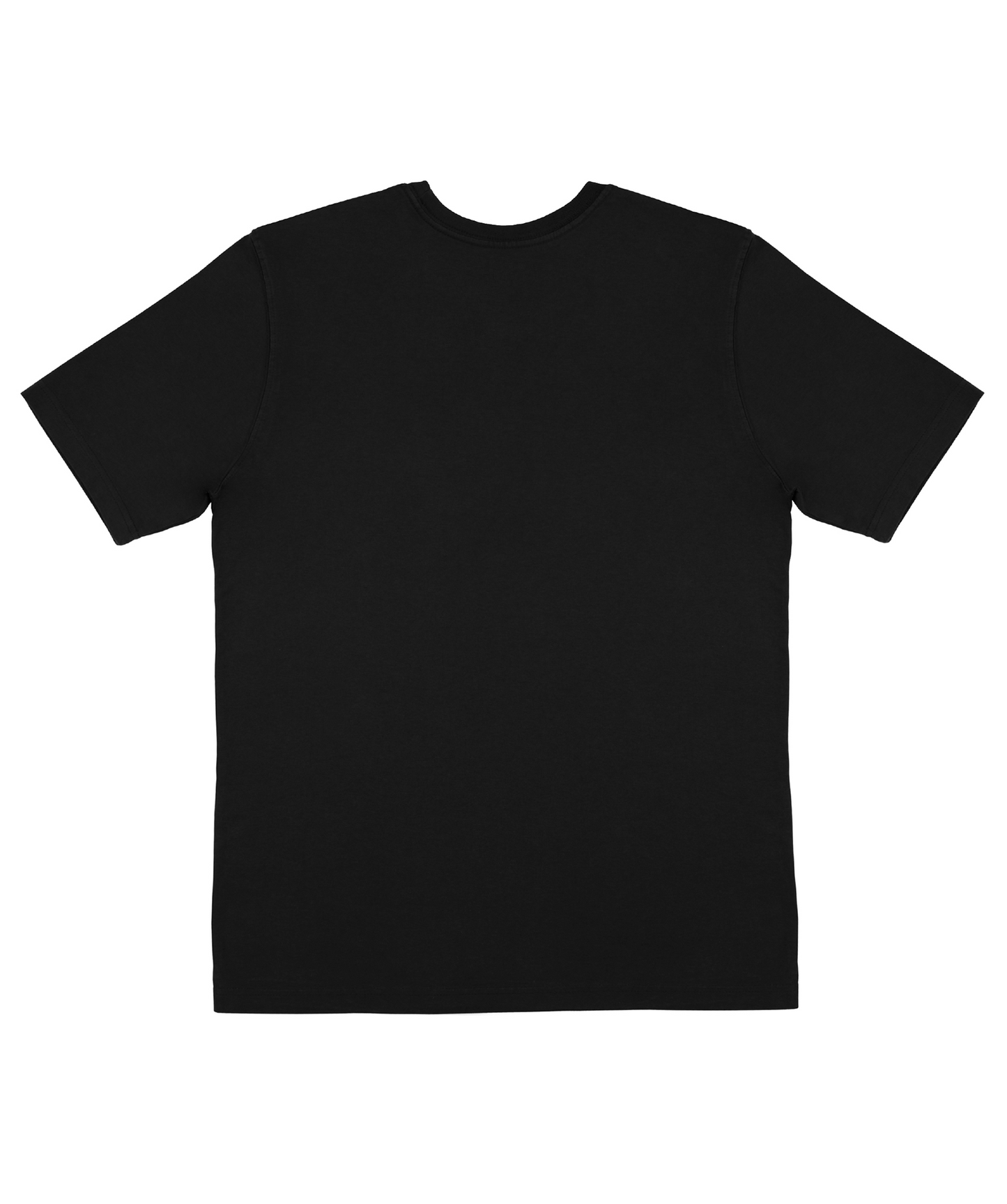 VITUN ISO ROTSI T-PAITA